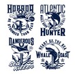 Tshirt prints with ocean animals killer whale, hammerhead shark and anchors. Vector mascots for fishing or marine club with sea predators. Adventure team prints with typography on white background
