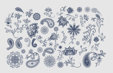 Vector decorative design Paisley, floral elements.