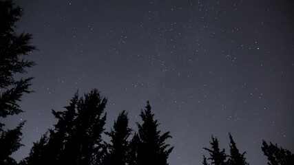 Wall Mural - Stars moving across the night sky above the forest. Time lapse.