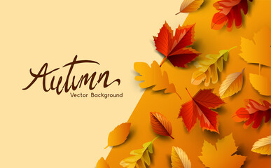 Wall Mural - Autumn fall season background design with golden falling autumn leaves and room for copy text. Vector illustration