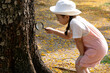 Little girl uses a magnifying glass to find insects on the trunks of trees at the summer garden, outdoor education