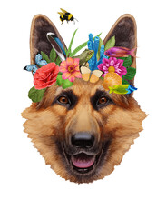 Portrait Of German Shepherd With A Floral Crown.  Flora And Fauna. Hand-drawn Illustration, Digitally Colored.
