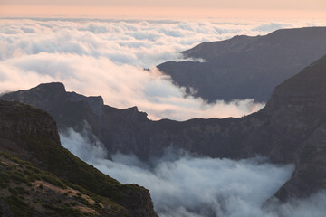 Wall Mural - Beautiful landscape in Madeira. Mountains, trees, pastures.
Madeira is known as the island of eternal spring.