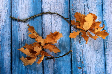 two oak tree branches with dry yellow oak leaves on the background of an old blue wooden background. Autumn illustration