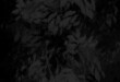 Dark Gray vector natural background with leaves.