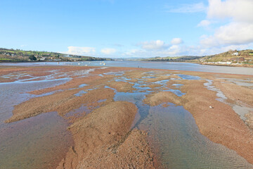 Wall Mural - River Teign at low tide	