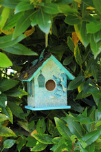 Beautifully Painted Birdhouse In The Green Foliage