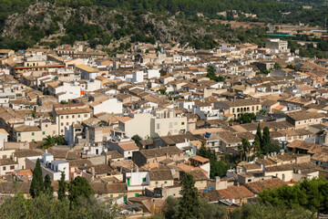 Poster - Aerial shot of a cityscape with brown brick roof houses surrounded by trees