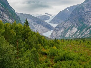 Wall Mural - Nigardsbreen glacier, Norway.