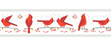 Red Cardinal Birds Cute Seamless Vector Border. Birdwatching, Bird Feeding Minimal Design Illustration. Red Northern Cardinal, Comic Cartoon Frame. Winter Birds Of Backyard, City Garden Scavenger Sign