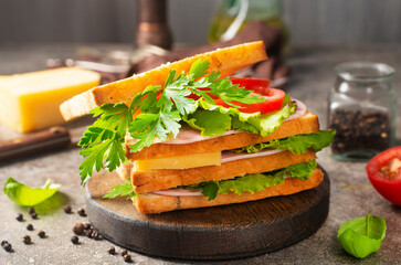 Canvas Print - sandwich