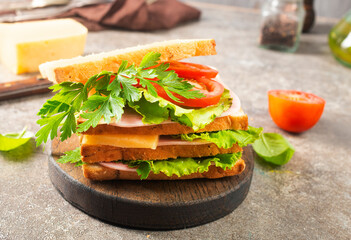 Canvas Print - sandwich