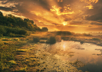 Wall Mural - beautiful summer landscape of the morning sun over the river lake dramatic sky