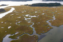 Narrow Channels Meander Through A Salt Marsh In Pleasant Bay, Cape Cod, Massachusetts. This Type Of Wetland Habitat Is Vital Feeding Grounds For Migrating Birds, Fish, And Many Marine Invertebrates.