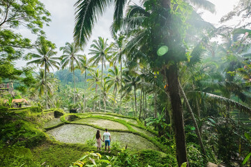 Сouple in love walking in a rice field, Bali, Indonesia.