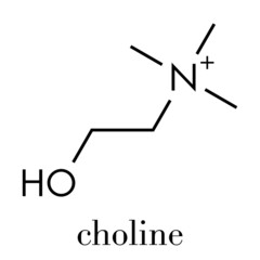 Wall Mural - Choline essential nutrient molecule. Skeletal formula.