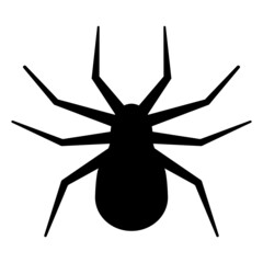 Wall Mural - spider silhouette decoration photo for halloween party