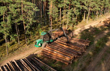 Wall Mural - Crane forwarder machine during clearing of forested land. Wheeled harvester transports raw timber from felling site out. Harvesters, Forest Logging machines. Forestry forwarder on deforestation.