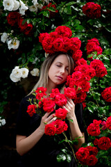 Poster - young girl near the bush of red and white roses