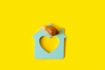 Poster - Snail and figure of house on color background