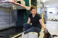 Woman Volunteer Cleaning Carrier Or Cage In Cat Shelter