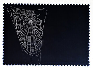Wall Mural - Spiderweb isolated on black postage stamp. Cobweb frame. Halloween party design. Vector black and white illustration