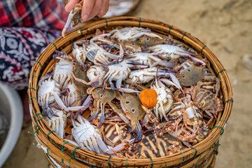 Wall Mural - Spidercrab or Sentinel crab at Tam Tien fish market, Quang Nam, Vietnam