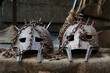 Máscaras de Hierro con cadenas Feria Medieval Halloween