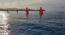 Sailboats With Red Sails On The Sea