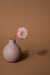 Wall Mural - Dried pink flower in vase on a dark brown background. Minimal home interior decoration with dark shadow. Vertical shot.