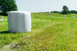 Agricultural landscape. Straw packages on field. Cereal bale of hay wrapped in plastic white foil. Agricultural background. Close-up of bales of rolled hay. Haymaking