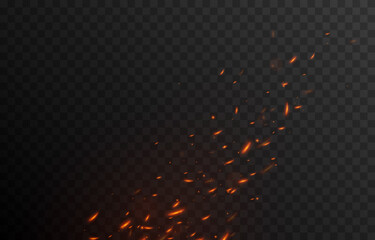 Wall Mural - Vector fiery sparks on an isolated transparent background. Sparks png, fire png, fiery particles.