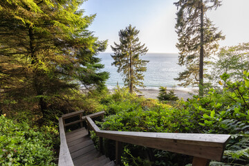 Hiking Path to Sandcut Beach in the Vibrant Rainforest and colorful green trees. Located near Victoria, Vancouver Island, British Columbia, Canada.