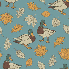 Naklejka na meble Vector seamless pattern with wild ducks and autumn leaves. Design with drakes and leaf fall on blue background.