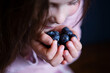 © Cavan Images - Smiling girl picking fresh blueberries on dark background