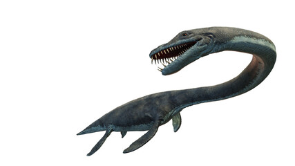 Wall Mural - Elasmosaurus, plesiosaur from the Late Cretaceous period, isolated on white background