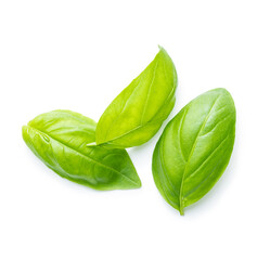 Poster - Fresh green basil leaves.