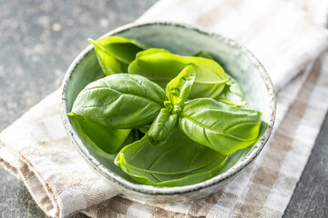 Wall Mural - Fresh green basil leaves.