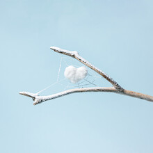 A White Heart In A Spider's Web On A Branch Covered With Snow.