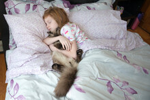 Sick Little Girl Sleeping In Bed With Cat