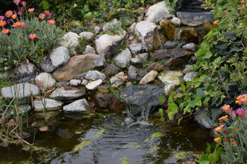 Waterfall in botanical garden