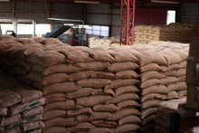 Green Coffee Bags For Import And Export