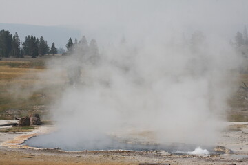 Steaming Geyser. Yellowstone National Park