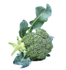 Wall Mural - Broccoli isolated on white background