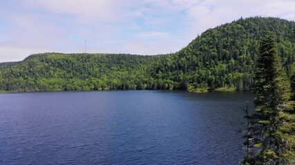 Wall Mural - Drone footage of a lake surrounded by mountains and forests, drone slowly turns right around a tree during the day above clear blue water.
