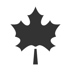 maple leaf icon