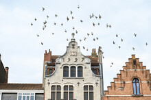 Europe Belgique Bruxelles Anderlecht Architecture Place Vaillance Patrimoine Belge Oiseaux Envol Pigeons