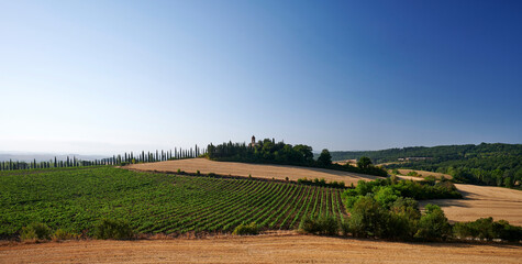 Wall Mural - paesaggio