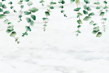 Wall Mural - Hand drawn eucalyptus leaf on white marble background vector