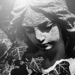 Fototapete - Beautiful angel marble sculpture with a sweet expression that looks down (religion, faith, Christianity concept). Black and white image.